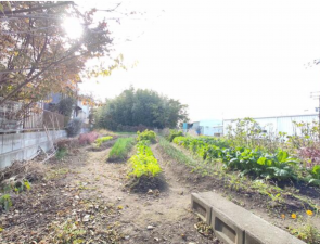 物件画像 土地小野市神明町