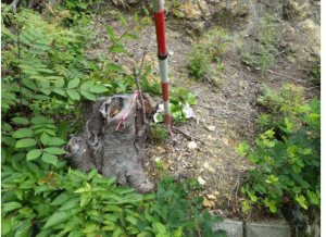 物件画像 土地加東市池之内