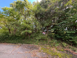 物件画像 土地西脇市板波町