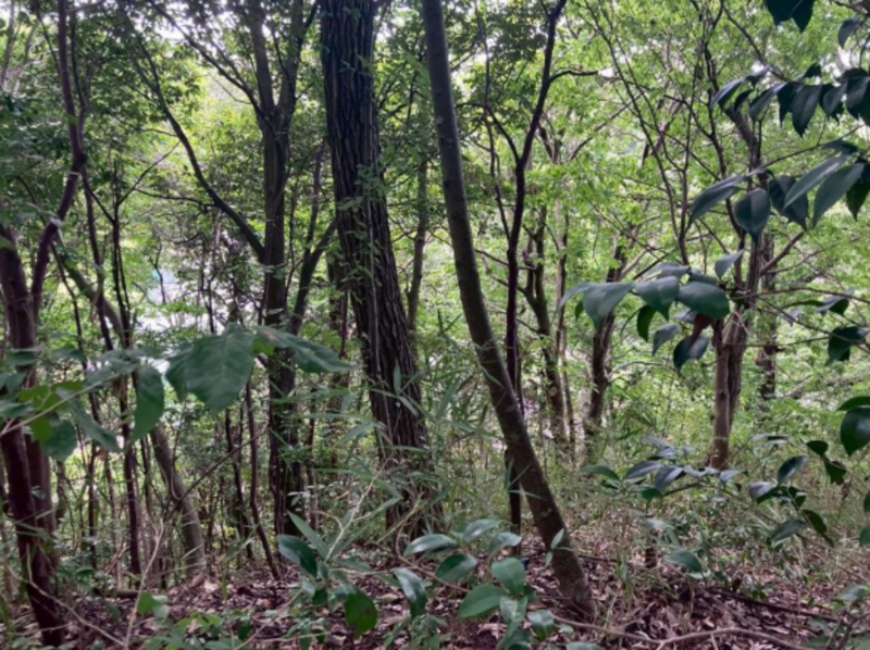 物件画像 土地加東市松沢