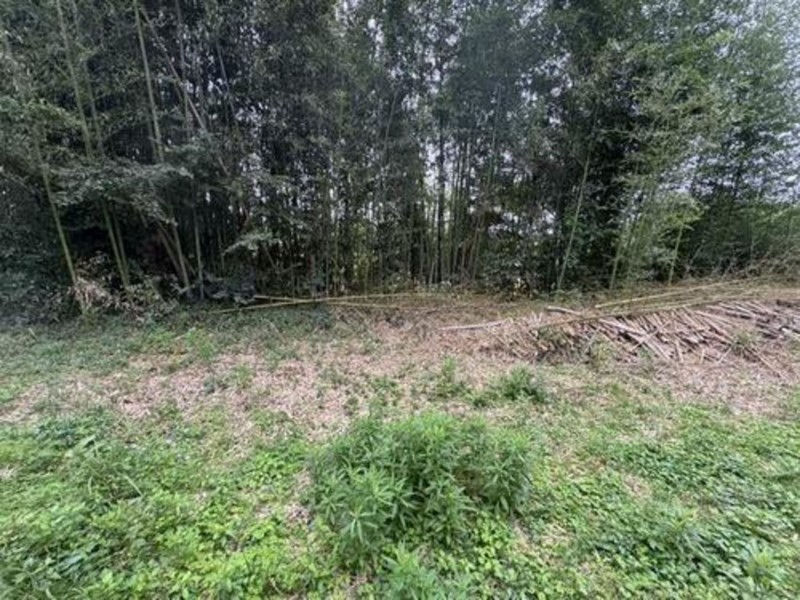 物件画像 土地加西市中野町