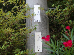 物件画像 土地小野市万勝寺町