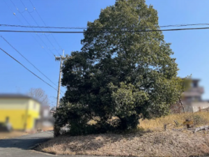 物件画像 土地小野市万勝寺町