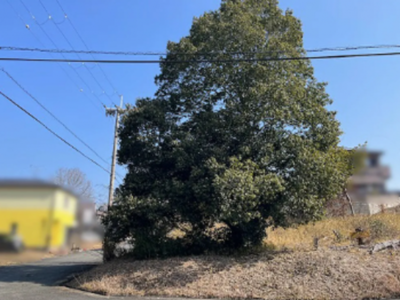 物件画像 土地小野市万勝寺町