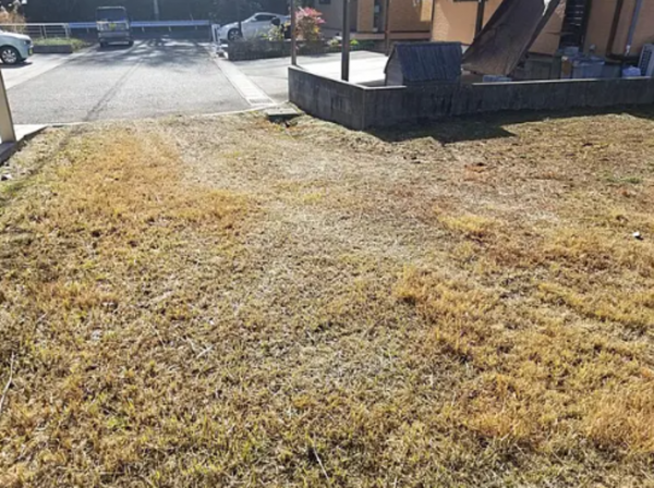 福山市駅家町大字新山、土地の画像です