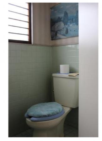 福山市新市町大字新市、中古一戸建てのトイレ画像です