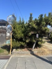 福山市、土地の画像です