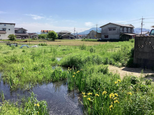 福山市神辺町字道上、土地の画像です