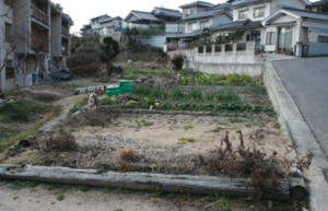 府中市、土地の画像です