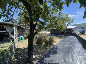 福山市新市町大字下安井、土地の画像です