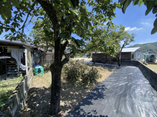 福山市新市町大字下安井、土地の画像です