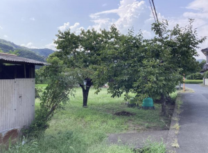 福山市新市町大字上安井、土地の画像です