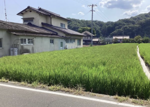 福山市新市町大字上安井、土地の画像です