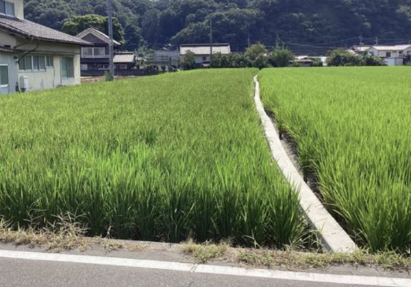 福山市新市町大字上安井、土地の画像です