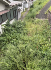 府中市土生町、中古一戸建ての画像です