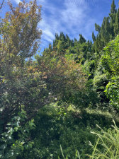 福山市御幸町大字下岩成、土地の画像です