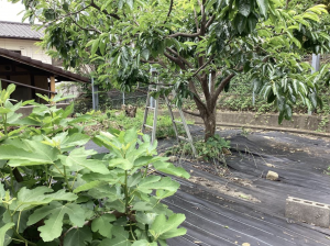 福山市東深津町、土地の画像です