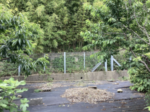 福山市東深津町、土地の画像です