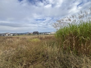 福山市駅家町大字江良、土地の画像です