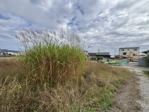 福山市駅家町大字江良、土地の画像です