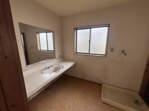 福山市駅家町大字上山守、中古一戸建ての洗面画像です