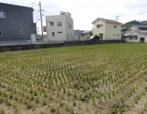 福山市加茂町字中野、土地の画像です