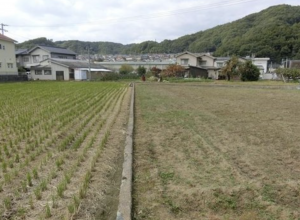 福山市加茂町字中野、土地の画像です