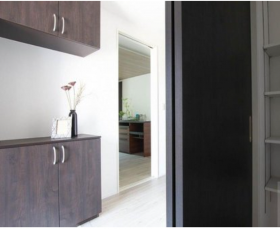 福山市南蔵王町、新築一戸建ての玄関画像です