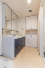 福山市入船町、マンションの洗面画像です