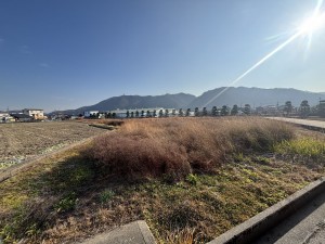 福山市駅家町大字江良、土地の画像です