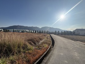 福山市駅家町大字江良、土地の画像です