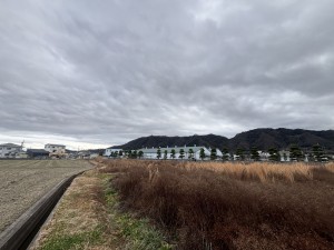福山市駅家町大字江良、土地の画像です
