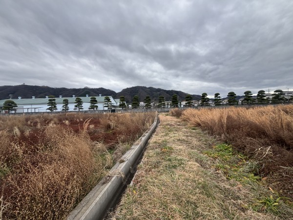福山市駅家町大字江良、土地の画像です