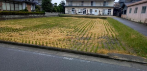 府中市高木町、土地の外観画像です