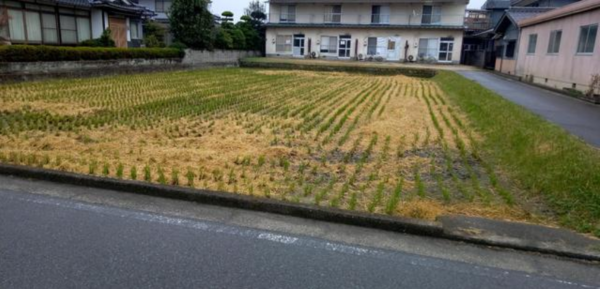 府中市高木町、土地の外観画像です