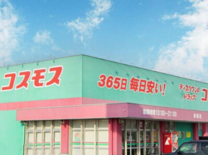 福山市川口町、新築一戸建てのドラッグストア画像です