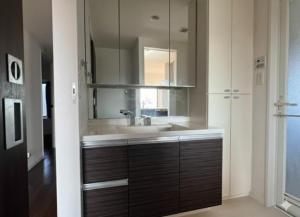 福山市南蔵王町、マンションの洗面画像です