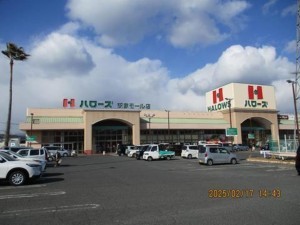 福山市駅家町大字近田、土地のスーパー画像です