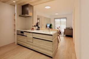 福山市神辺町新湯野、新築一戸建てのキッチン画像です