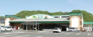 福山市新市町大字宮内、土地のスーパー画像です