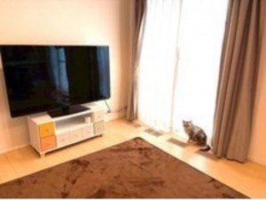 福山市、中古一戸建ての居間画像です