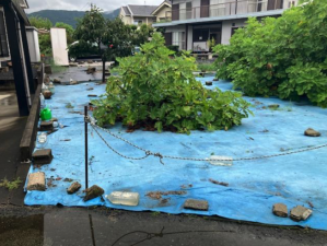 府中市高木町、土地の前面道路を含む現地写真画像です