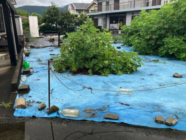 府中市高木町、土地の前面道路を含む現地写真画像です