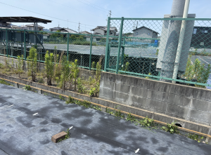 福山市駅家町大字法成寺、土地の画像です