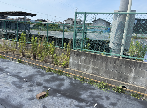 福山市駅家町大字法成寺、土地の画像です