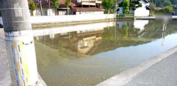 府中市篠根町、土地の外観画像です