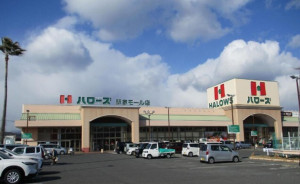 福山市駅家町大字近田、土地のスーパー画像です