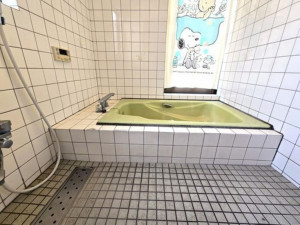 福山市西新涯町、中古一戸建ての風呂画像です
