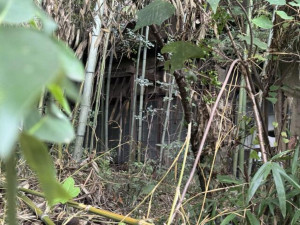 福山市瀬戸町地頭分、土地の外観画像です
