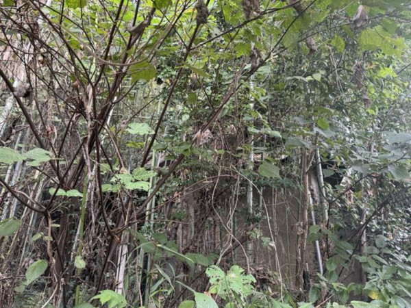 福山市瀬戸町地頭分、土地の外観画像です